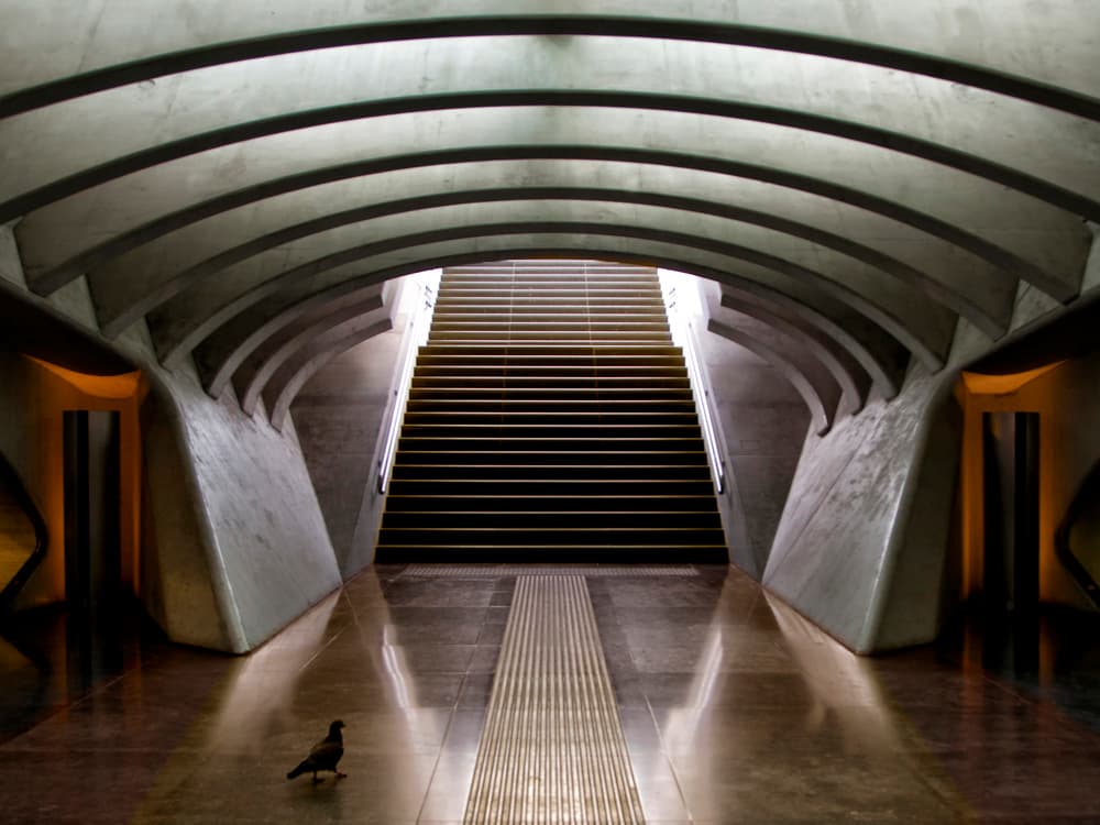 Modern Stairs and Pigeon by Yvette Depaepe — canvas wall art