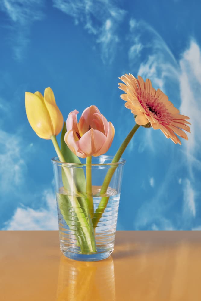 Spring Flowers Blue Sky by Julia Ramiro — canvas wall art