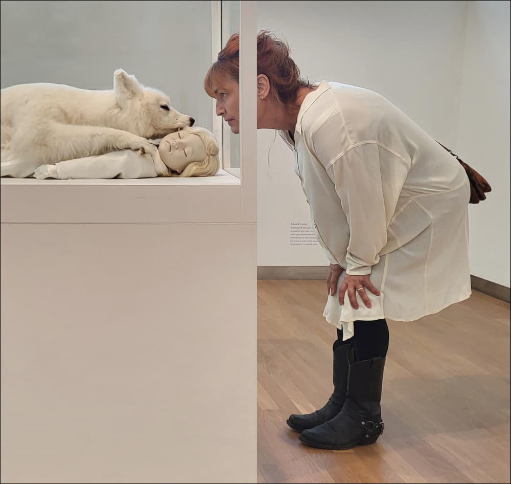 Woman Views Fox Sculpture by Huib Limberg — canvas wall art