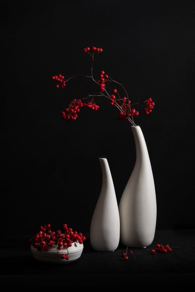 Elegant Still Life Berries by Xiaoyuan Xu — canvas wall art
