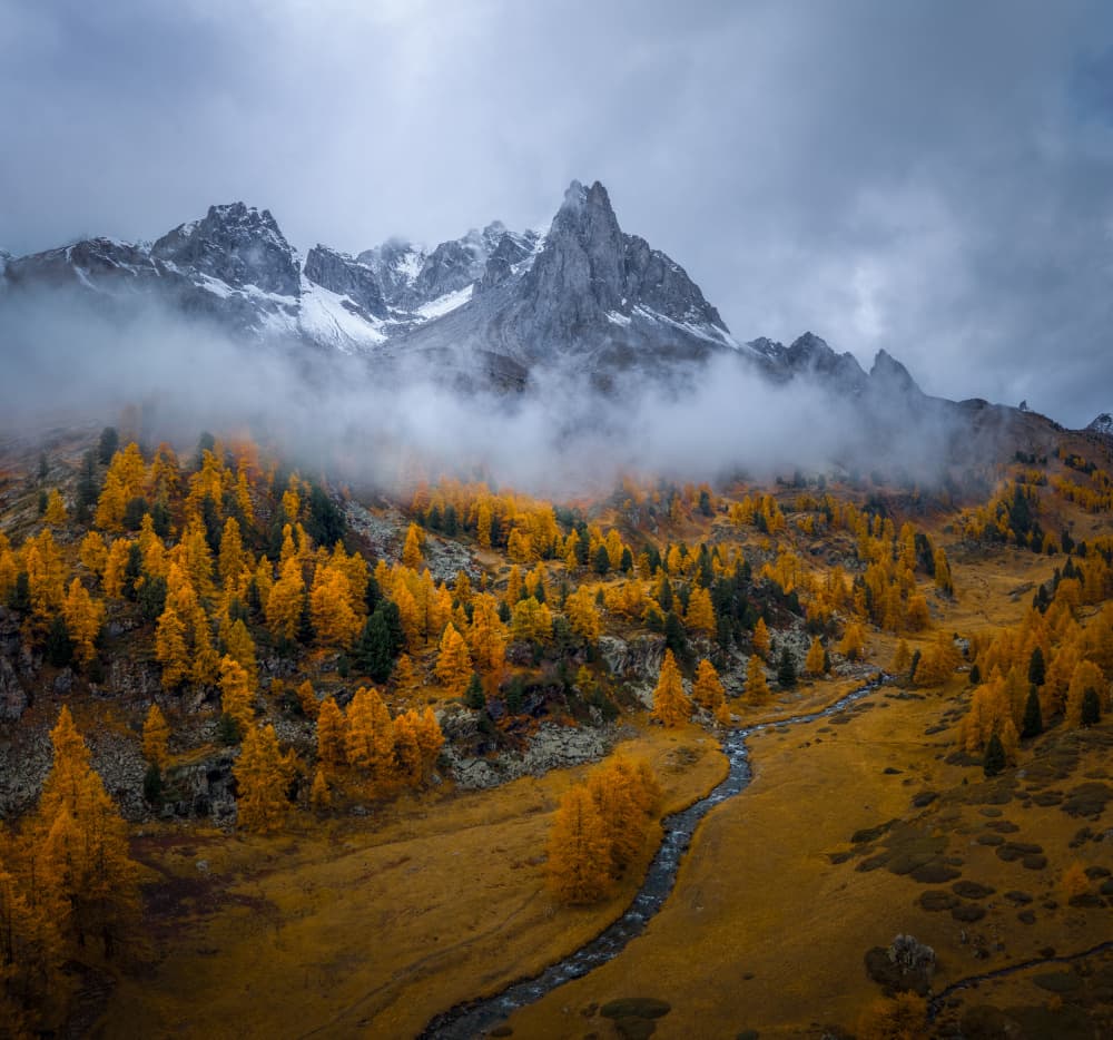Misty Golden Mountain Peaks by Chuan Chen APA — canvas wall art