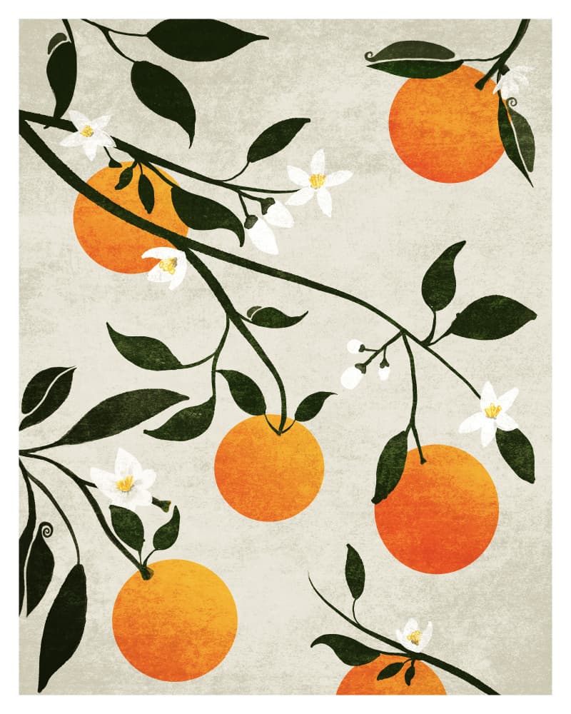 Oranges in Bloom by Emel Tunaboylu — canvas wall art