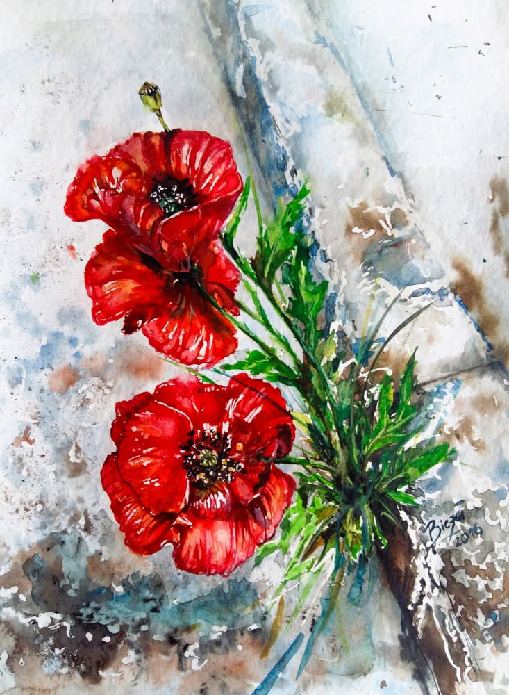 Vibrant Red Poppies by Anda Bieza — canvas wall art
