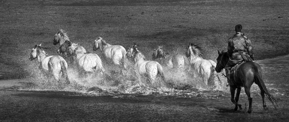 Galloping Horses and Rider by Angela Muliani Hartojo — canvas wall art