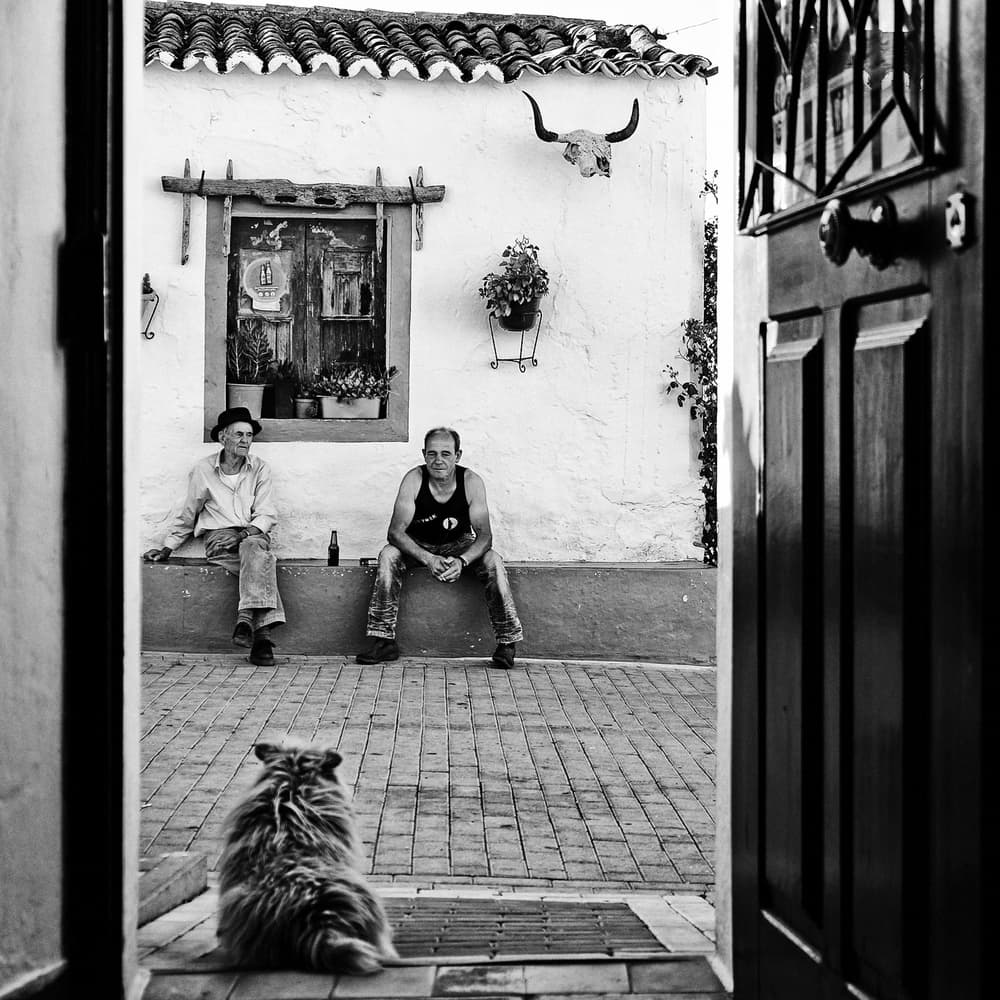 Dog Watches Village Life by Josefina Melo — canvas wall art