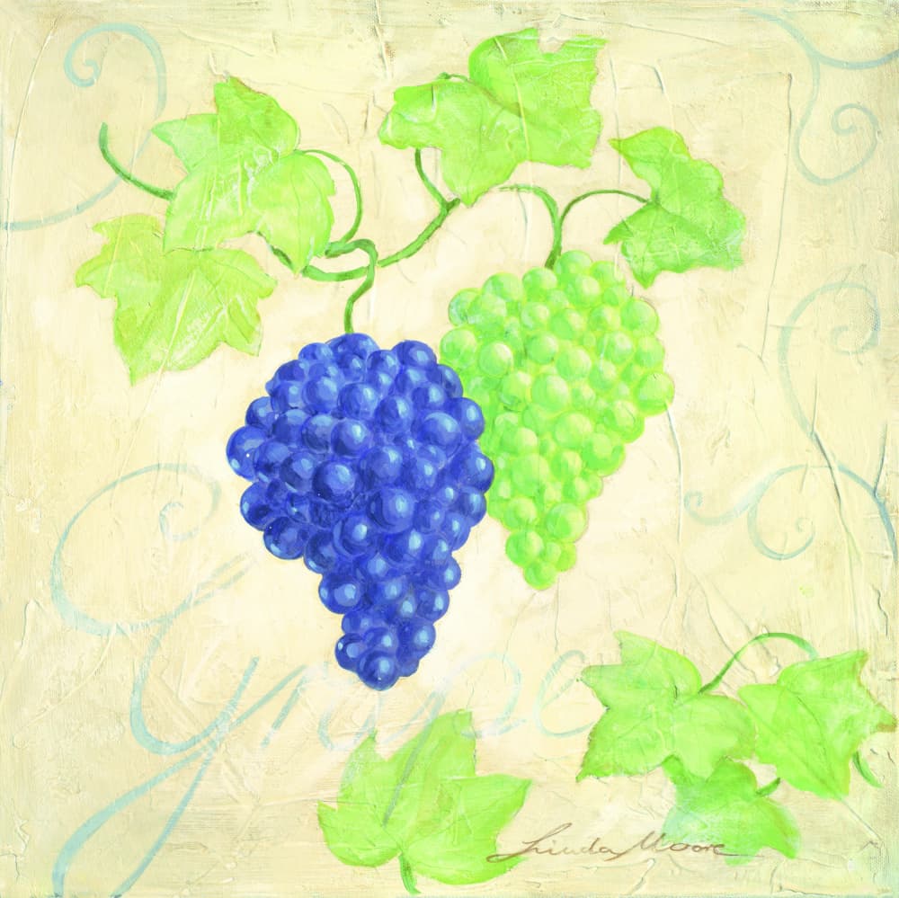 Fresh Blue Green Grapes by Renate Holzner — canvas wall art