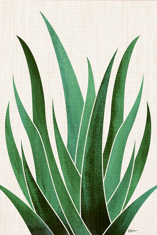 Desert Agave 4 by Kristian Gallagher — canvas wall art