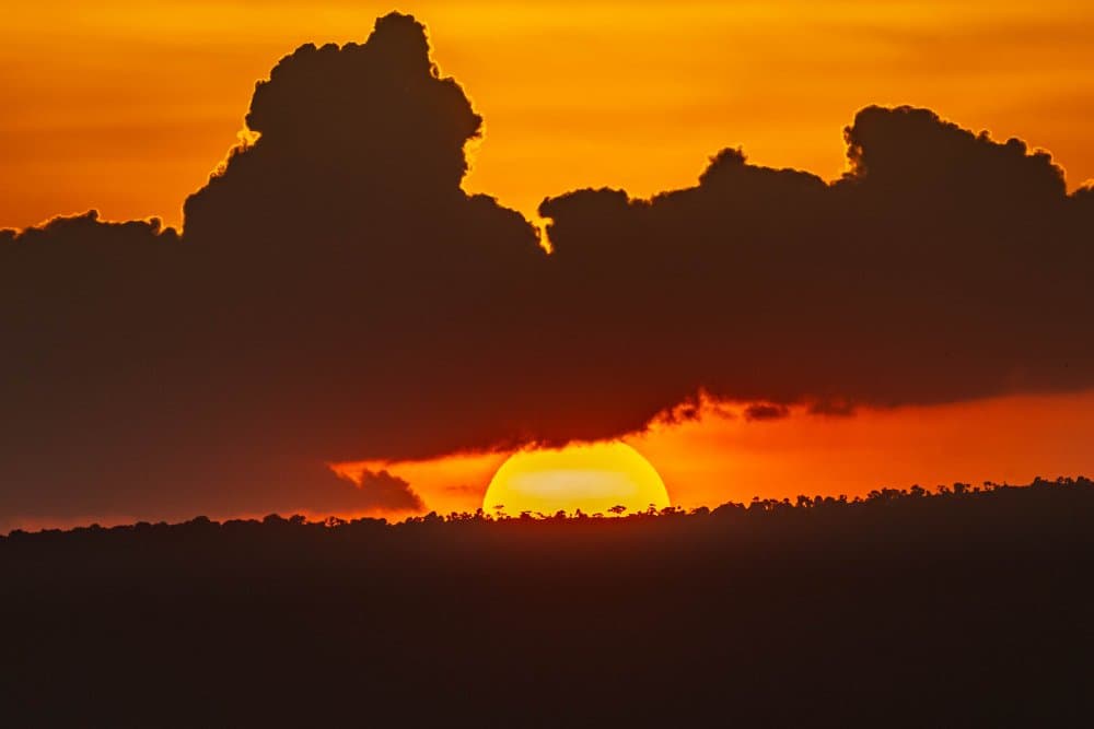 Golden Horizon Sunset by Jeffrey C. Sink — canvas wall art