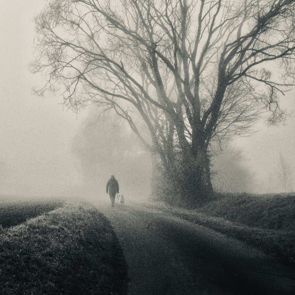 Misty Path Dog Walk by Robert Kuavi — canvas wall art
