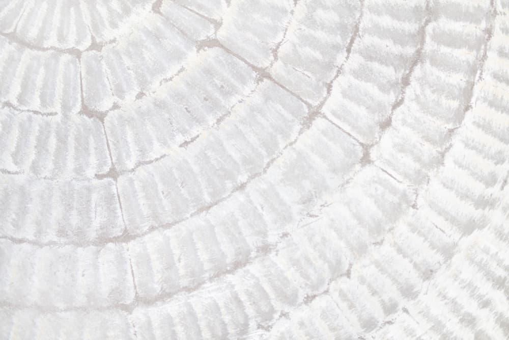 Soft Concentric Waves by Pictufy Studio III — canvas wall art