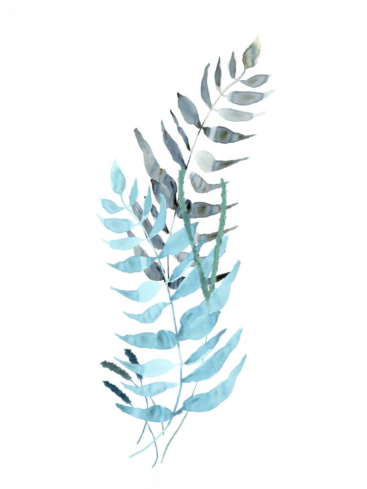 Muted Blue Ferns by cartissi — canvas wall art