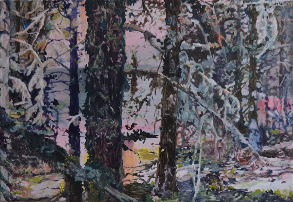 Enchanted Forest Light by Karin Bos — canvas wall art