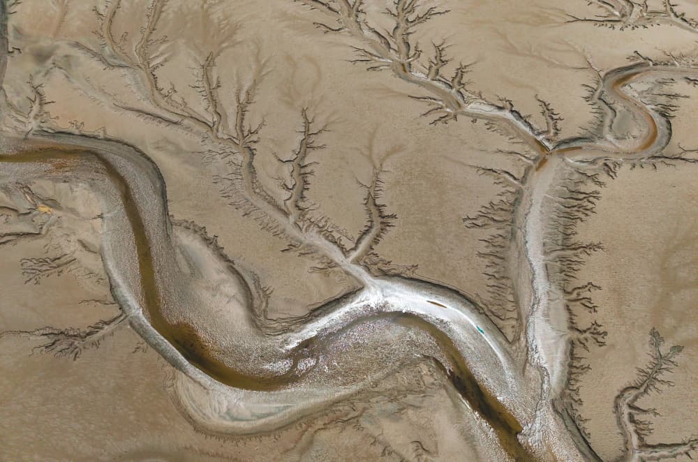Earthy River Delta by YY DB — canvas wall art