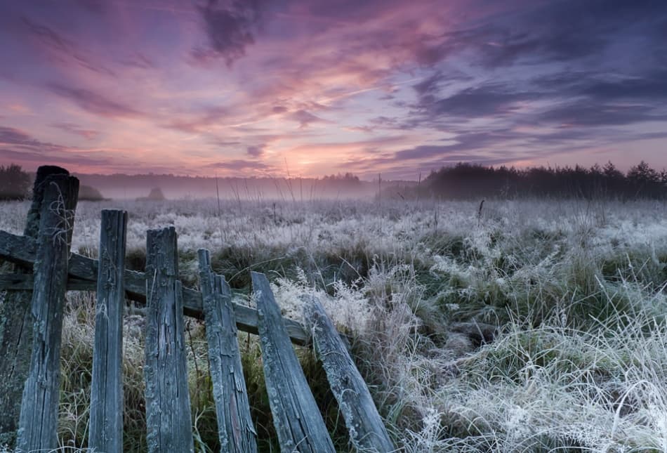 Frosted Field Dawn Glow by Krzysztof Lorant — canvas wall art