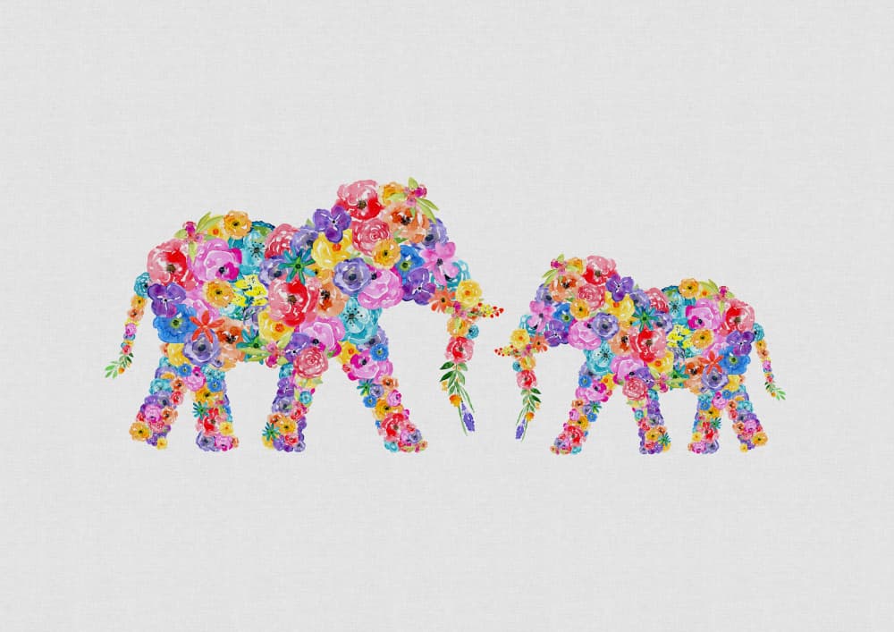 Floral Elephant Family by Orara Studio — canvas wall art