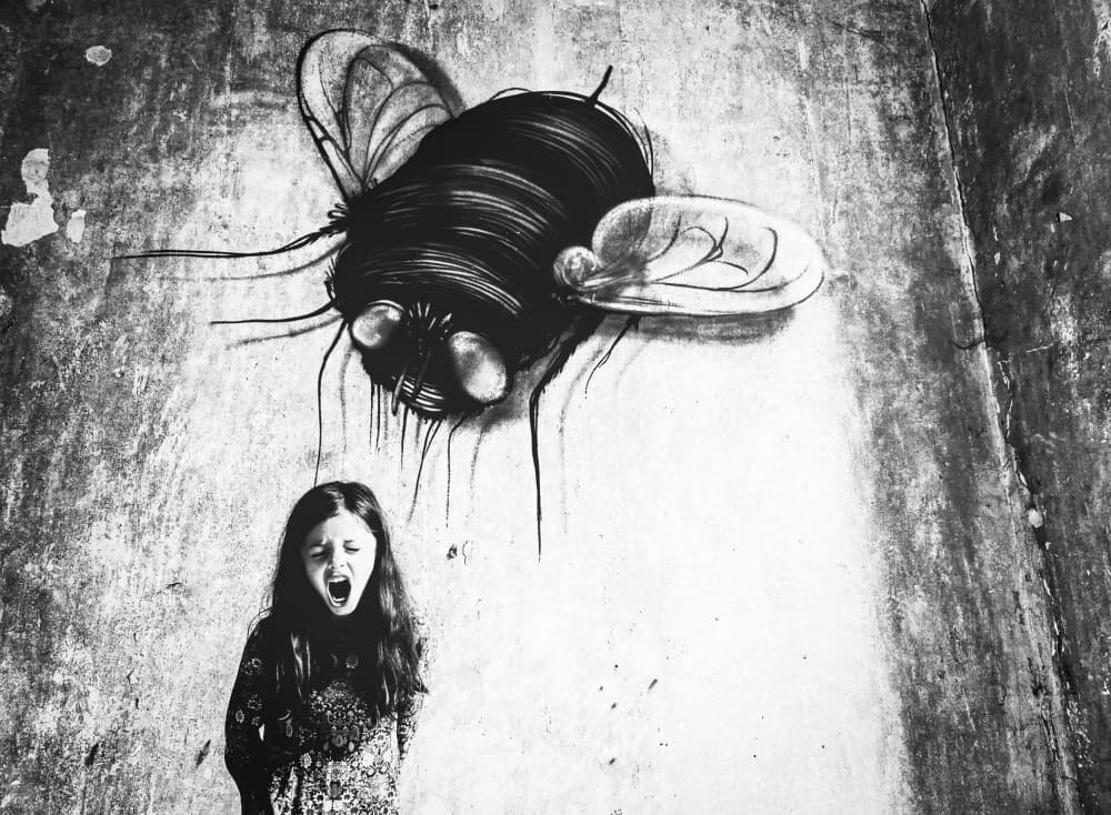 Screaming Girl Giant Fly by Delphine Margau — canvas wall art