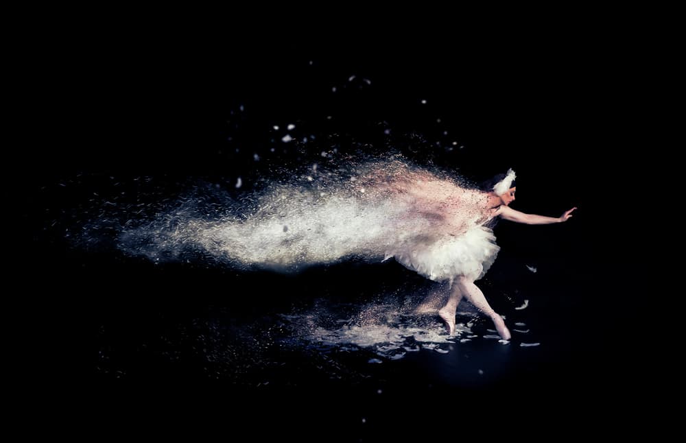 Swan Ballerina Motion by Zoltan Tot — canvas wall art