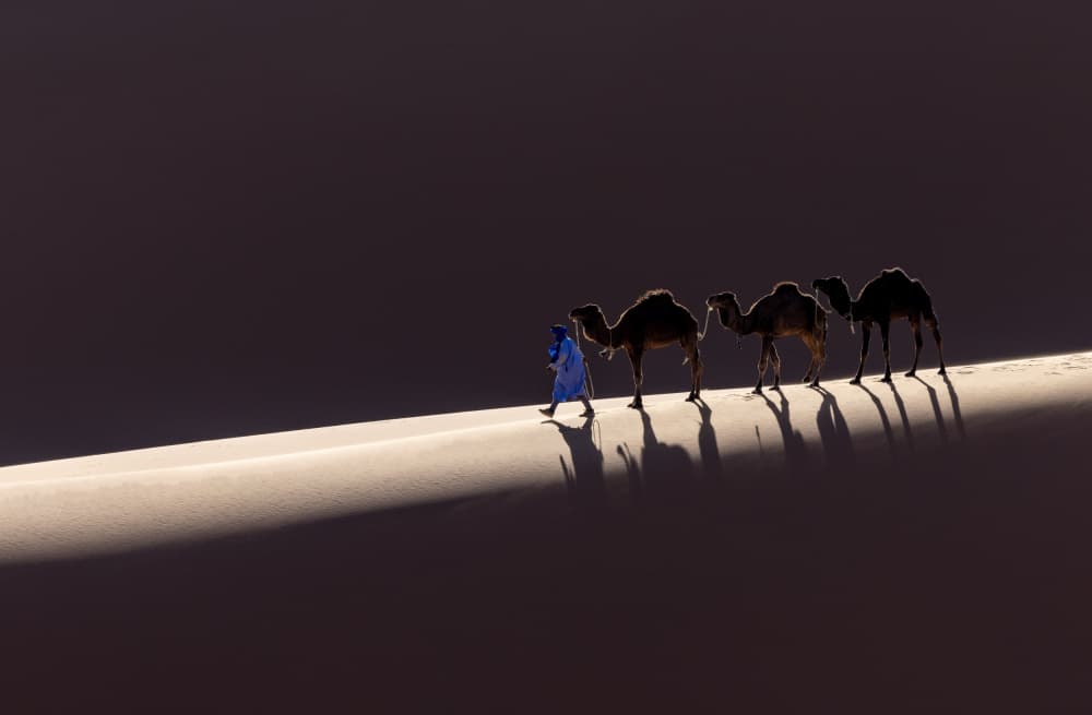 Desert Walk Shadows by Muljati Hidajat — canvas wall art