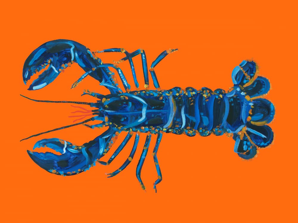 Vibrant Blue Lobster by Alice Straker — canvas wall art