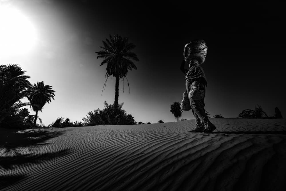 Desert Oasis Journey by ABDALLAH KHALILI — canvas wall art