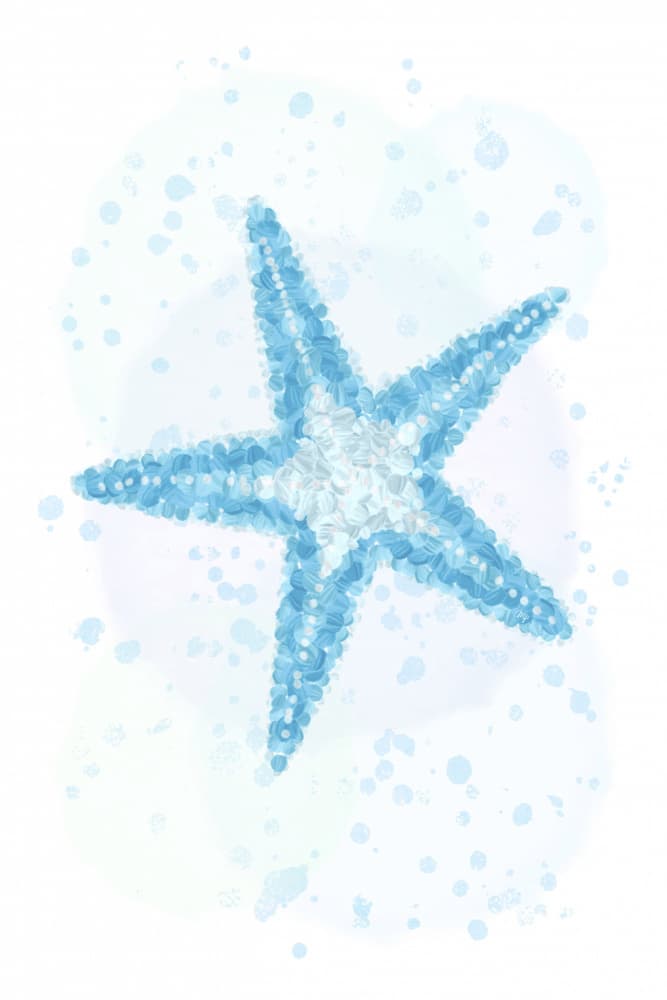 Blue Watercolor Starfish by Martina — canvas wall art