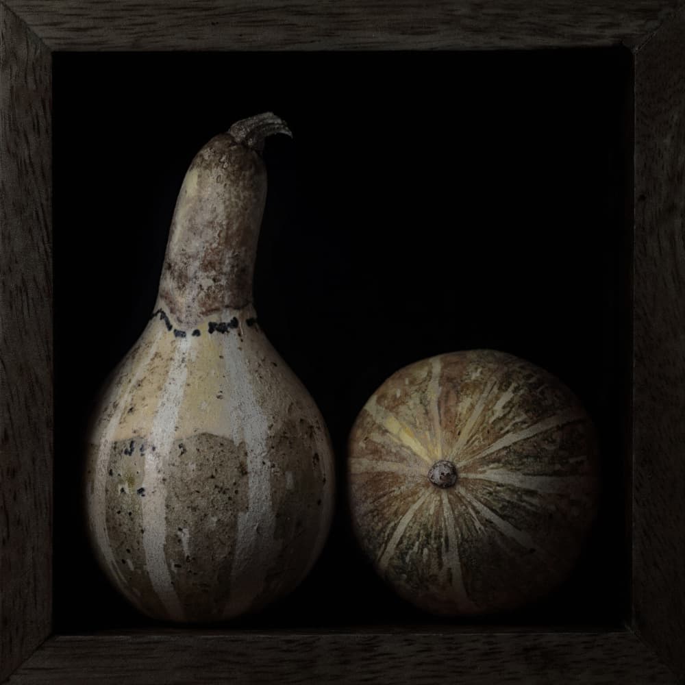 Two Gourds Still Life by Lotte Grønkjær — canvas wall art