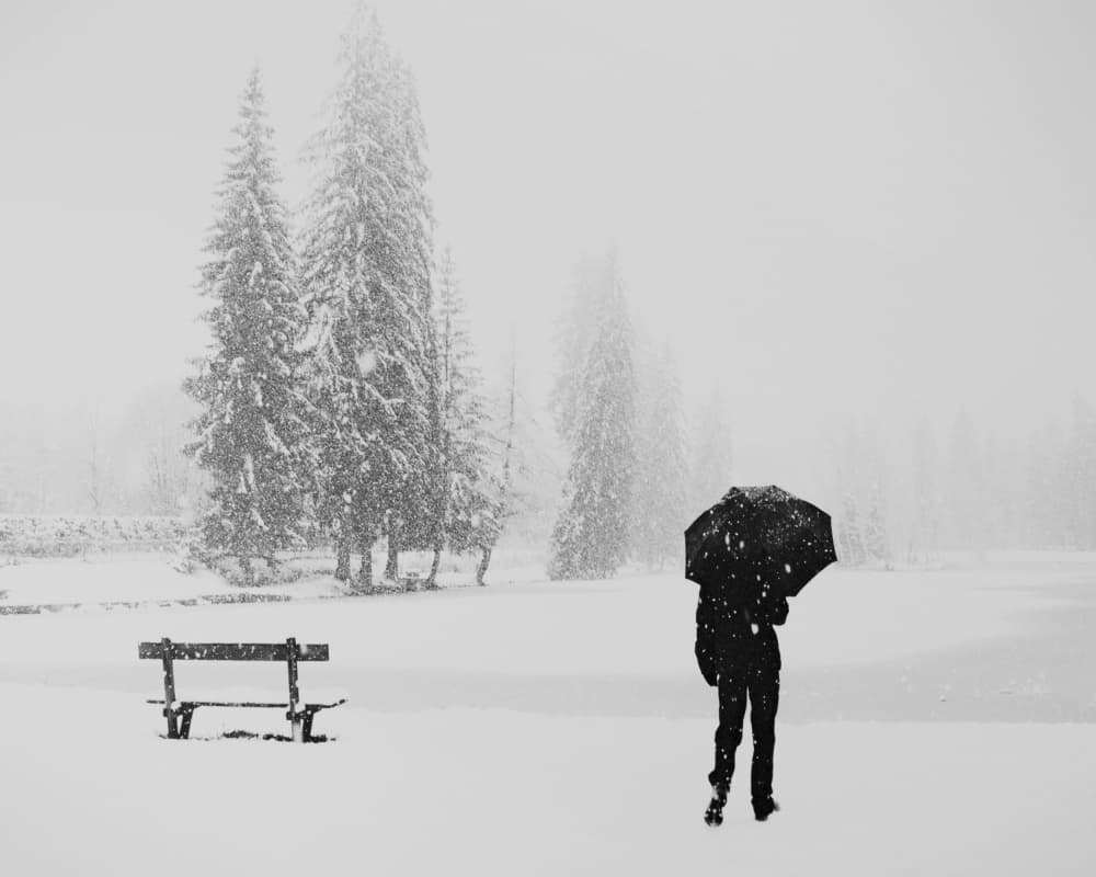 Lone Figure Winter Snow by Elena Raceala — canvas wall art