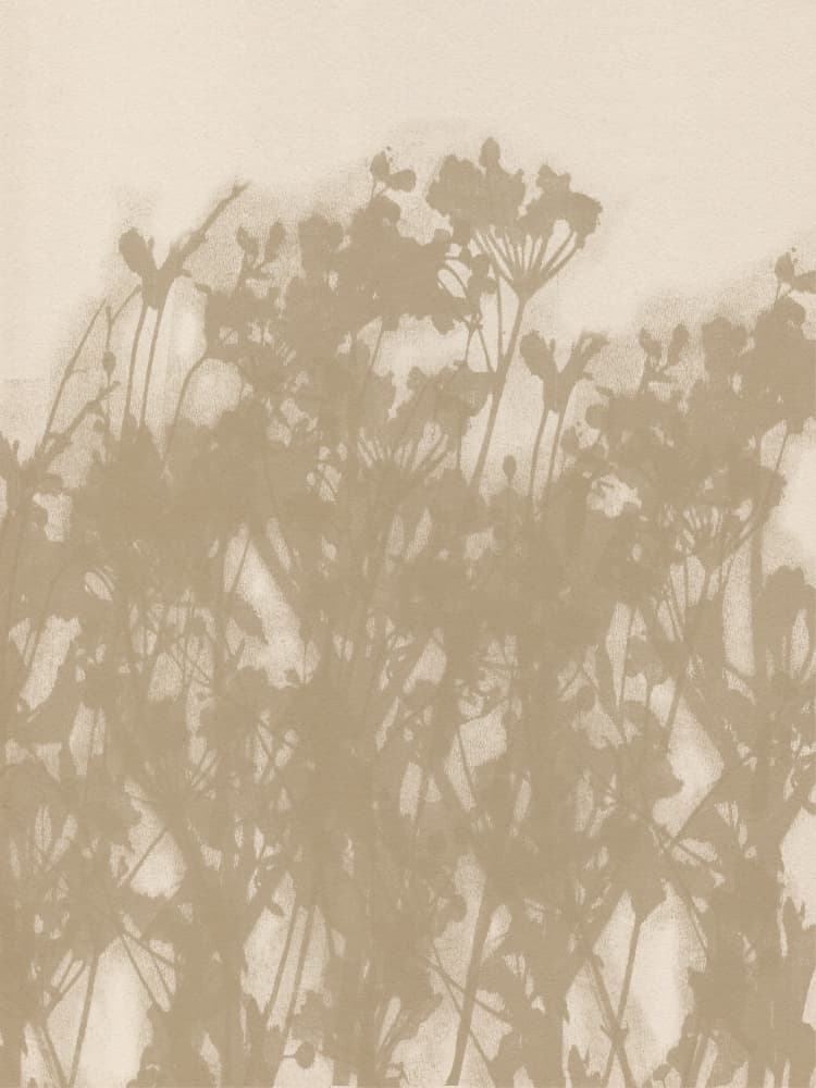 Botanical Shadows