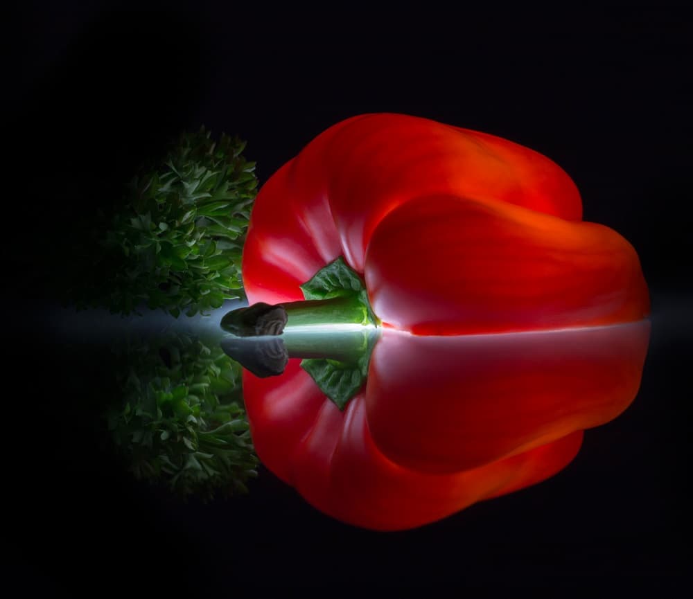 Glowing Red Pepper by Wieteke de Kogel — canvas wall art