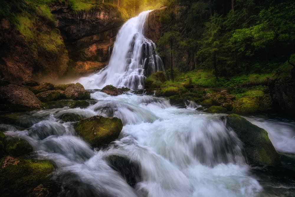 Radiant Forest Waterfall
