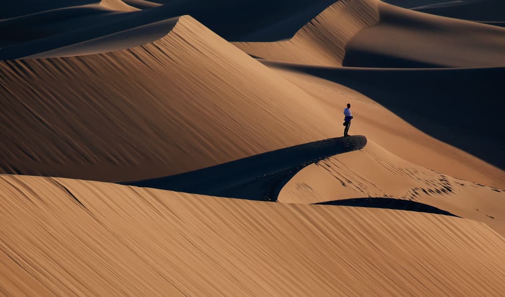 Man Amidst Golden Dunes by Libby Zhang — canvas wall art