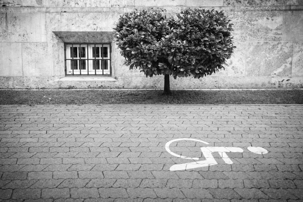 Urban Access Tree by Roswitha Schleicher-Schwarz — canvas wall art