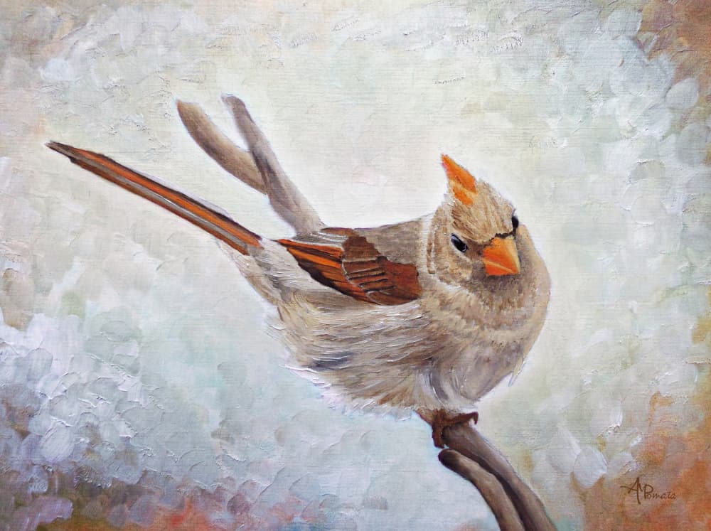 Watchful Female Cardinal by Angeles M. Pomata — canvas wall art
