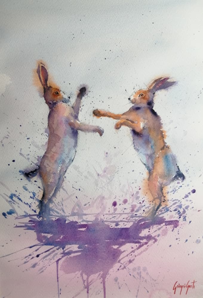 Playful Hares Boxing by Giorgio Gosti — canvas wall art