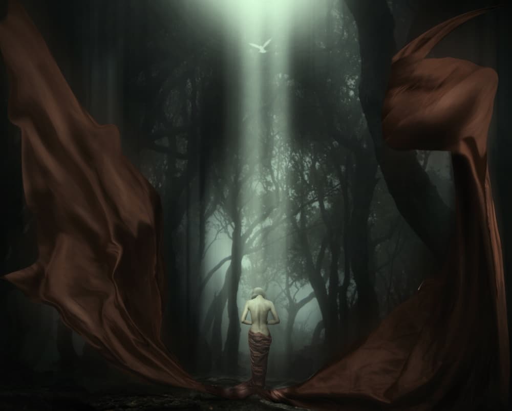 Spiritual Forest Path by Donaldo Langelo — canvas wall art