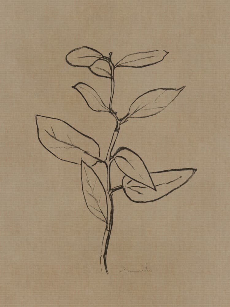 Eucalyptus Sapling by Dan Hobday — canvas wall art
