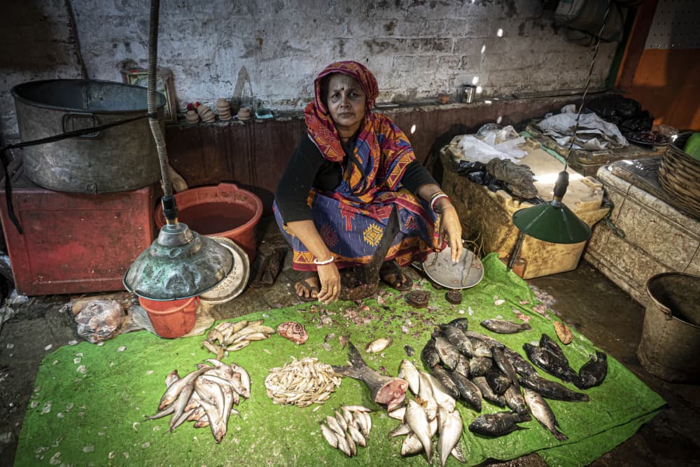 Market Fish Seller by Elena Molina — canvas wall art