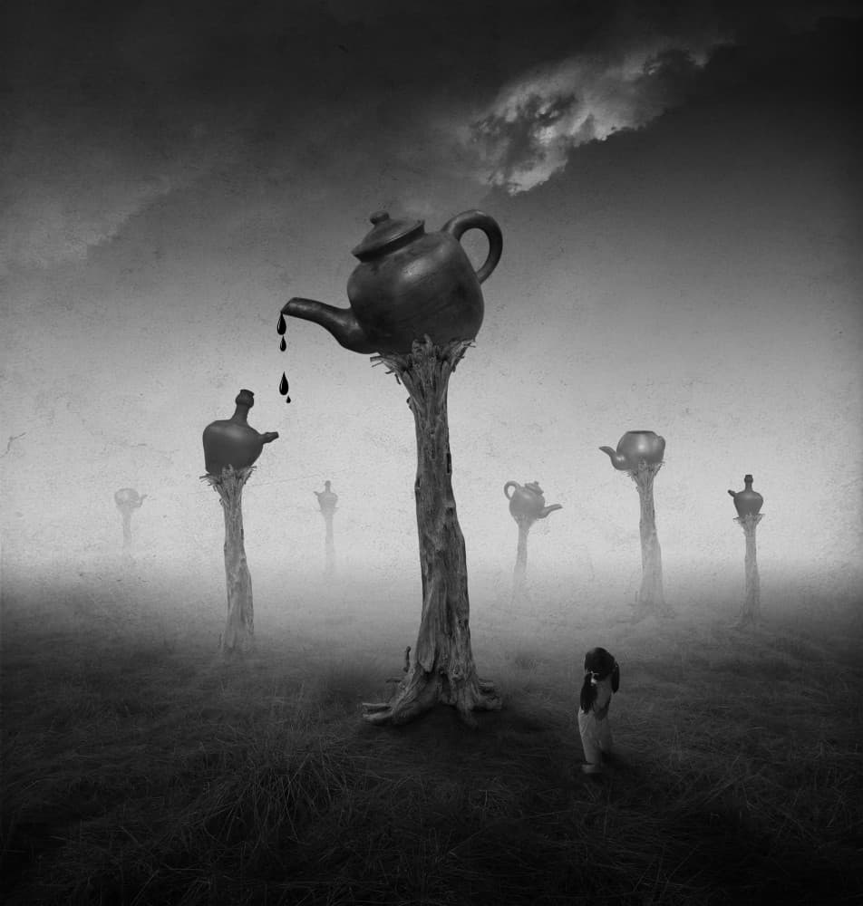 Surreal Teapot Tree Field by Hari Sulistiawan — canvas wall art