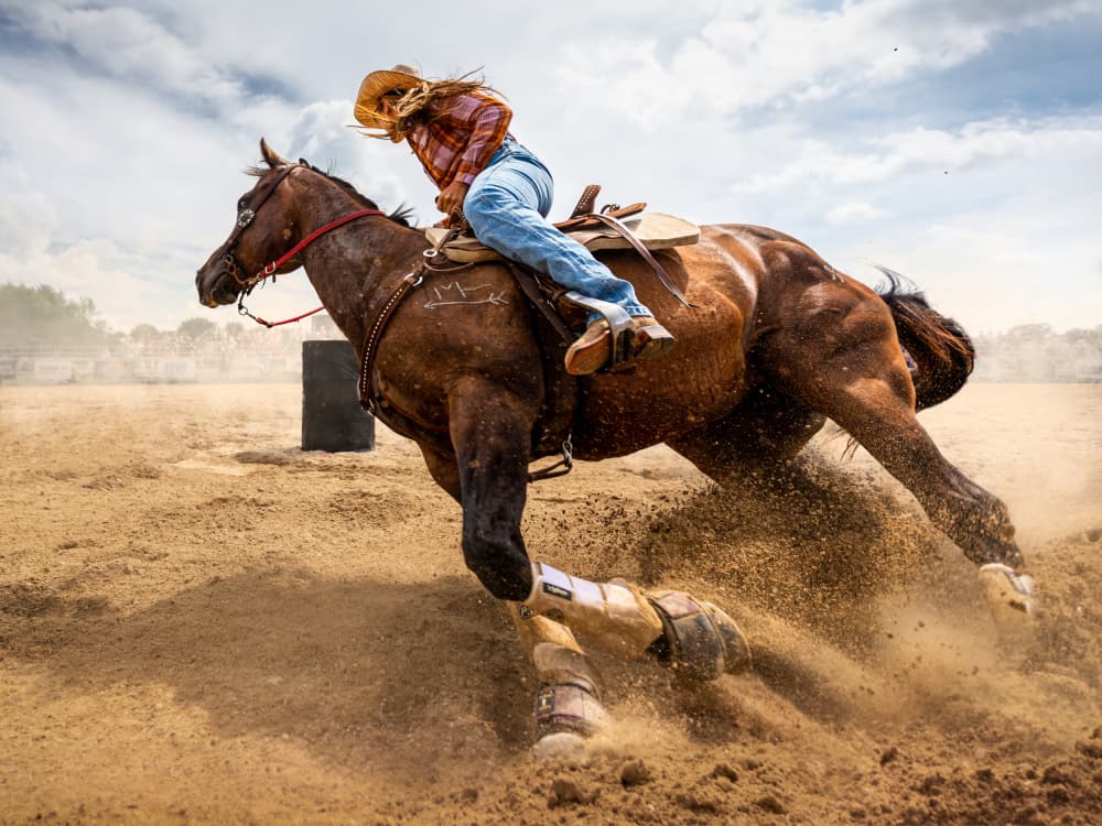 Barrel Racing Action by Steven Zhou — canvas wall art