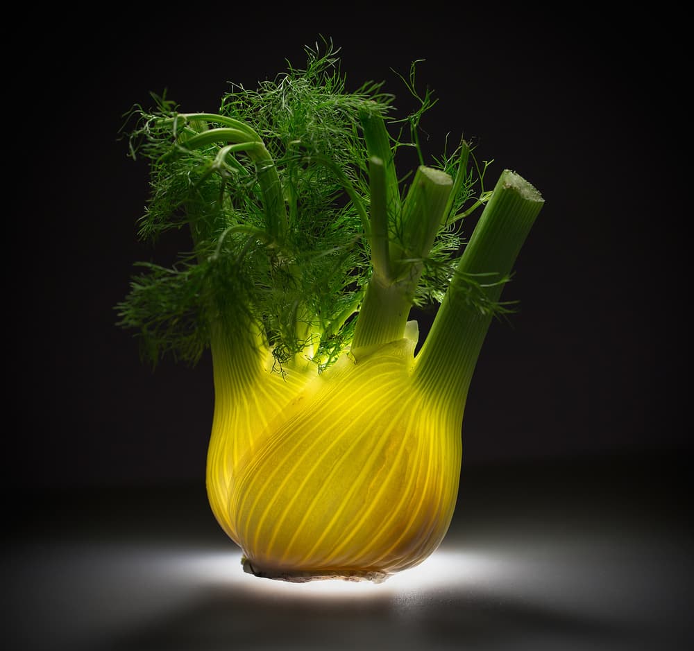 Glowing Fennel Bulb by Wieteke de Kogel — canvas wall art