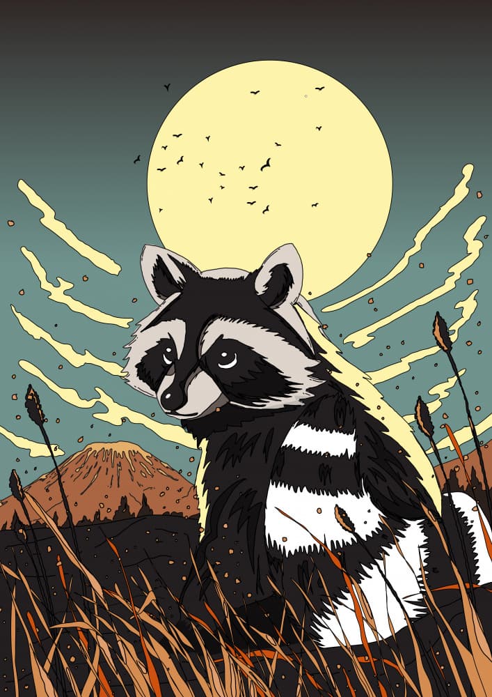 Raccoon Under Moonlight by Nicholas — canvas wall art