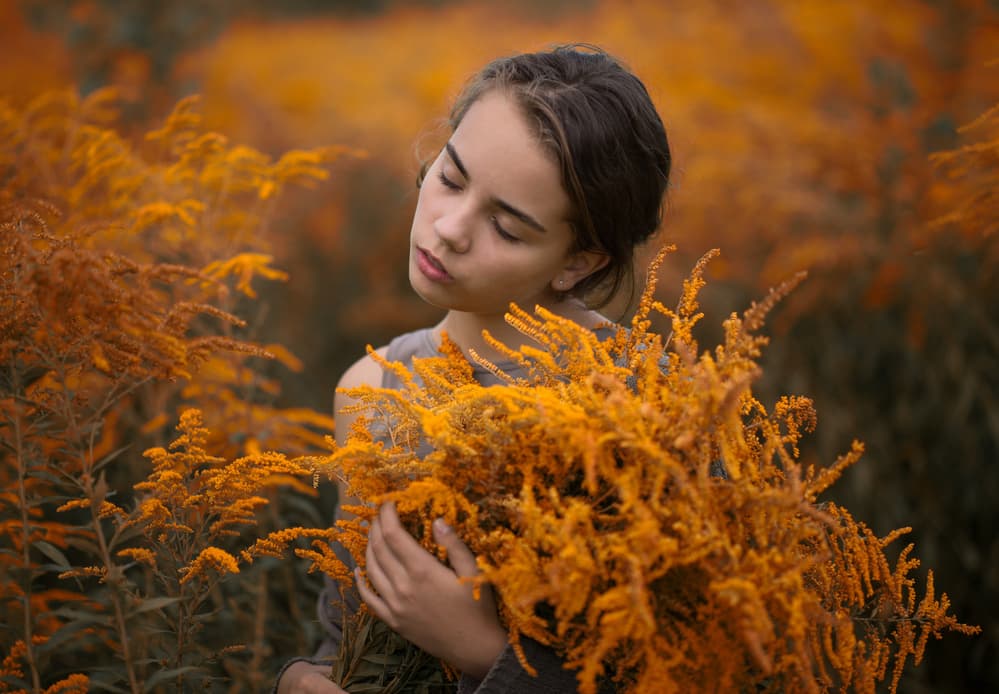 Goldenrod Field Serenity by Małgorzata Masarz — canvas wall art