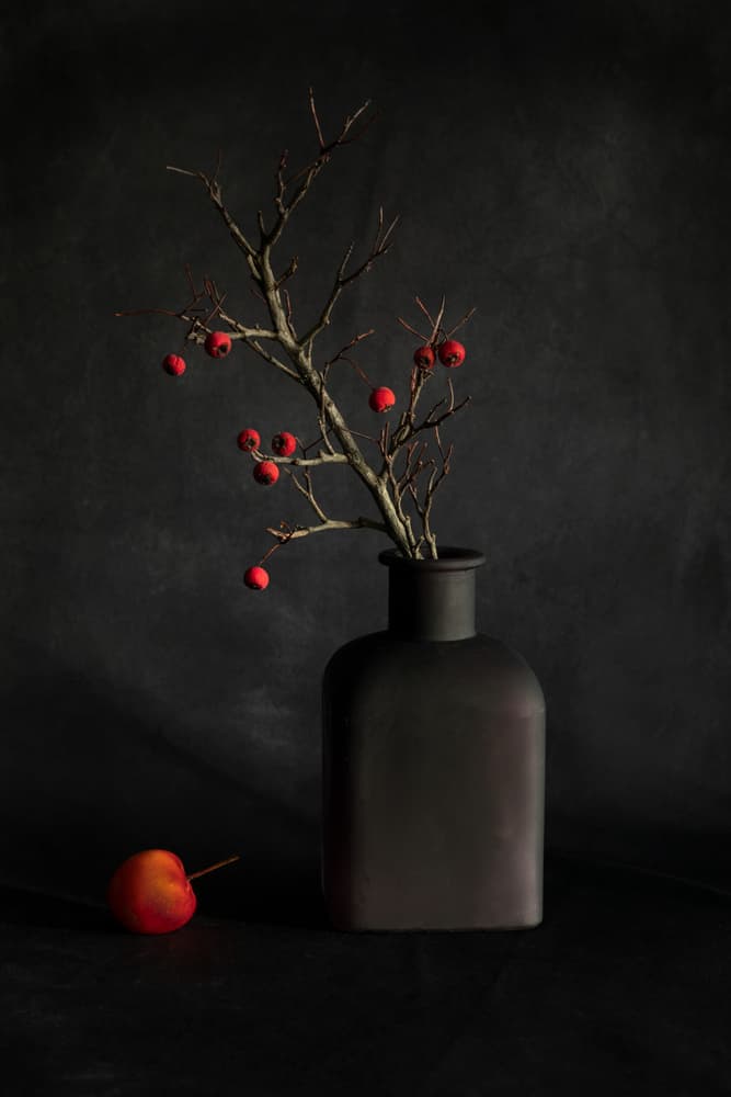 Crimson Berries Still Life by Dennis Zhang — canvas wall art