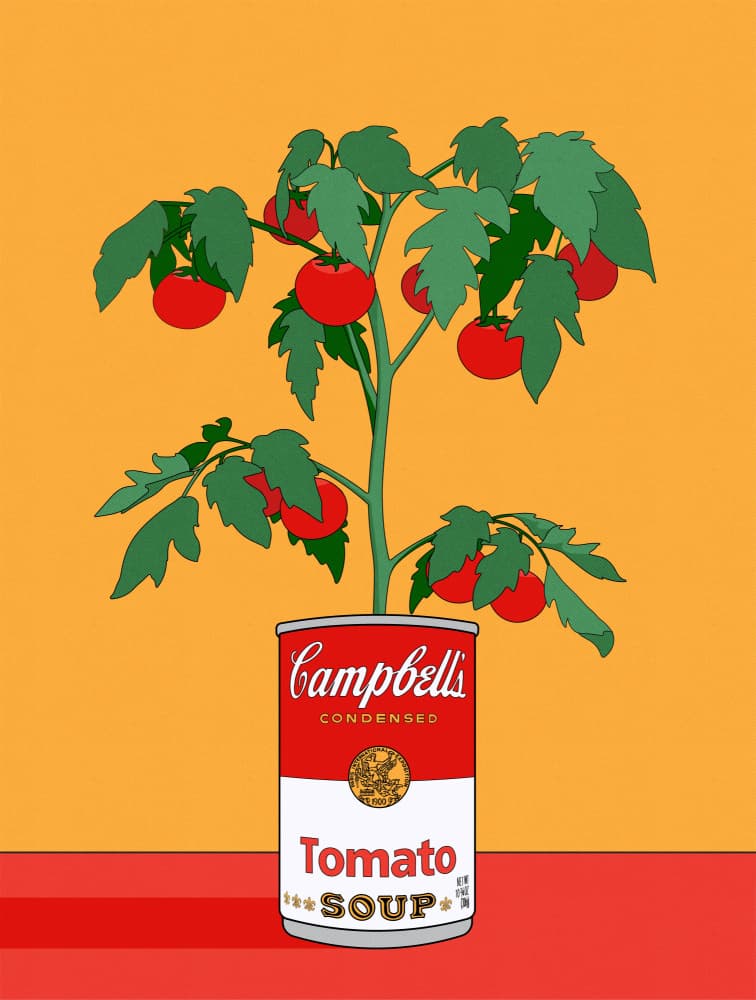 Vibrant Tomato Plant by Retrodrome — canvas wall art