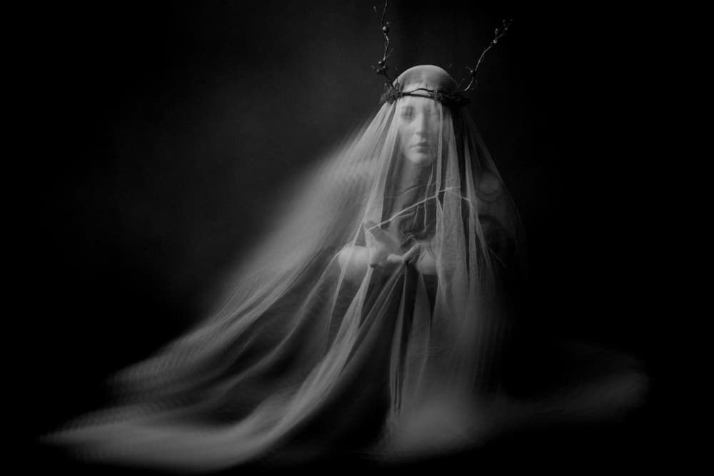 Mysterious Veiled Woman by Olga Mest — canvas wall art