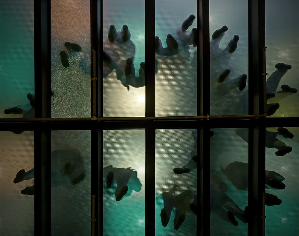 Pressed Against Glass by Roberto Parola — canvas wall art