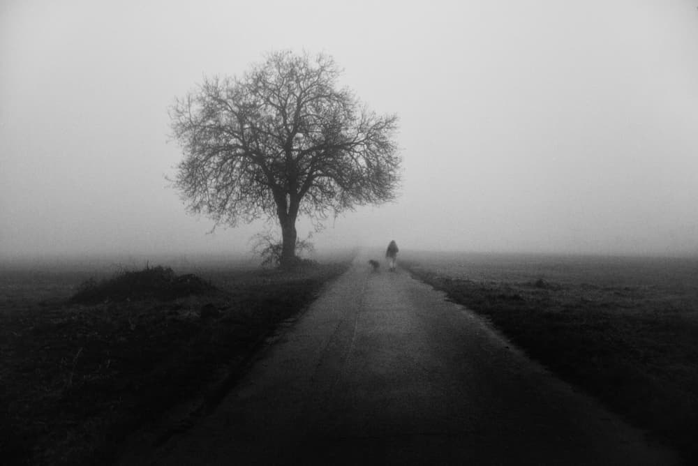 Misty Road Solitary Walk by Alexander Jikharev — canvas wall art