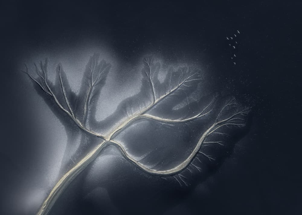 Serene River Delta Branches by Gu and Hongchao — canvas wall art