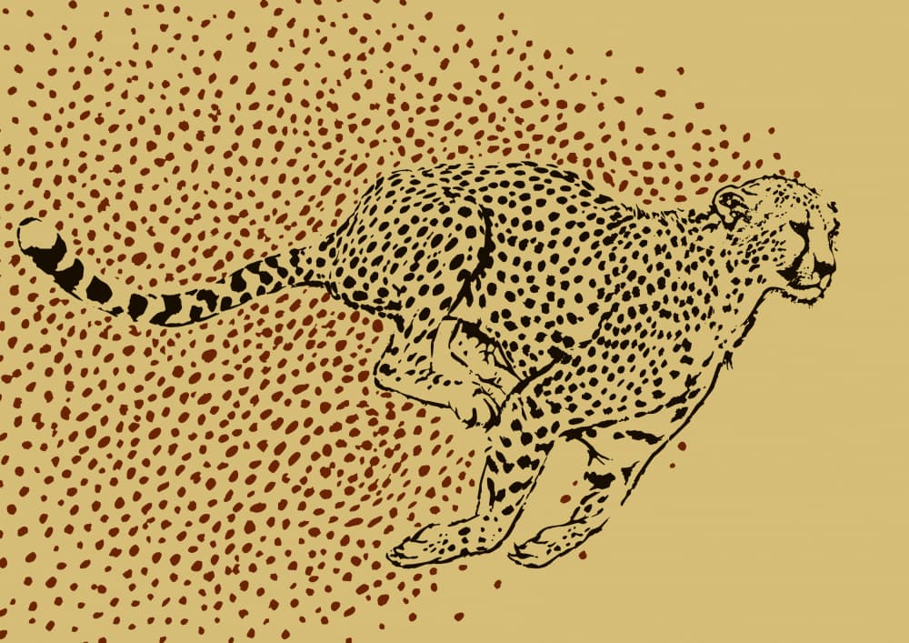 Cheetah In Motion by Carlo Kaminski — canvas wall art