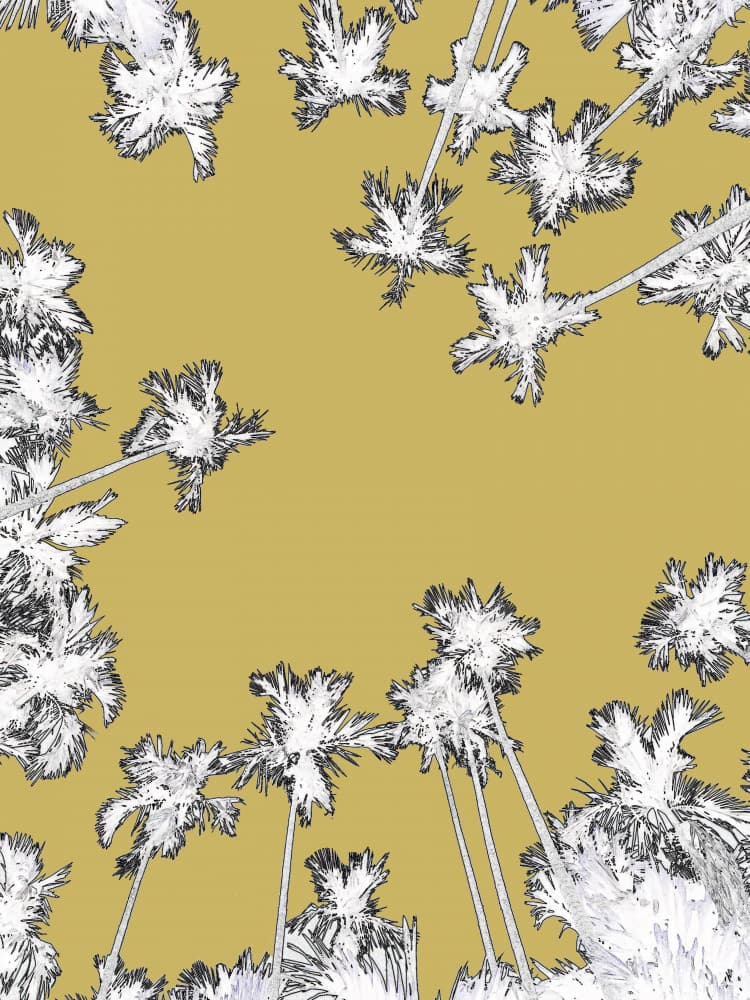 Golden Palm Canopy by Santhosh ch — canvas wall art